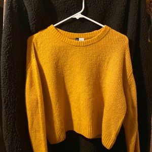 H&M sweater. Wore once